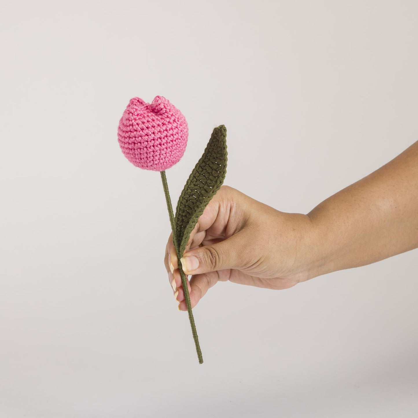 Pink Tulip Stem