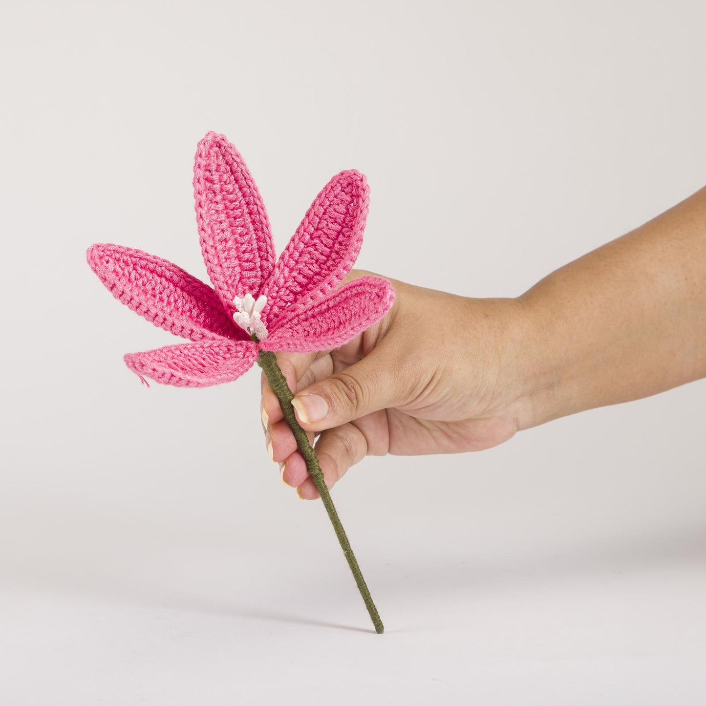 Pink Lily Stem