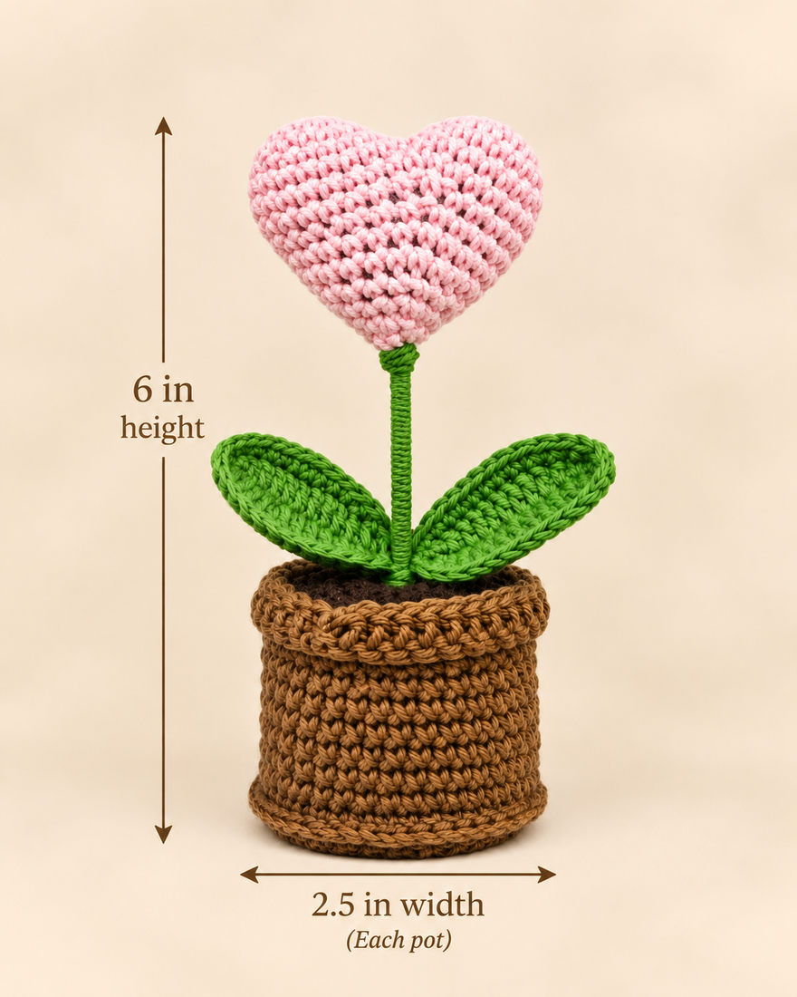 Sweetheart Bloom Pot size guide showing 6-inch height and 2.5-inch pot width.