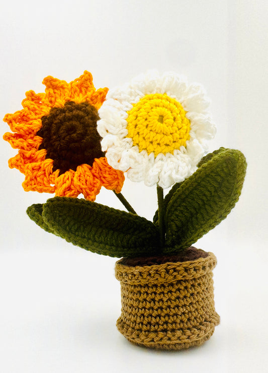 Sunshine & Daisy Duo Pot