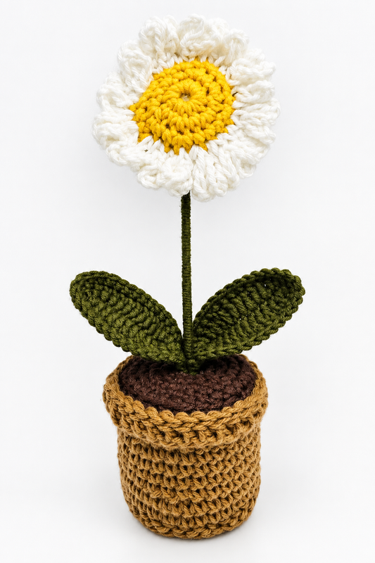 Blush Daisy Bloom Pot