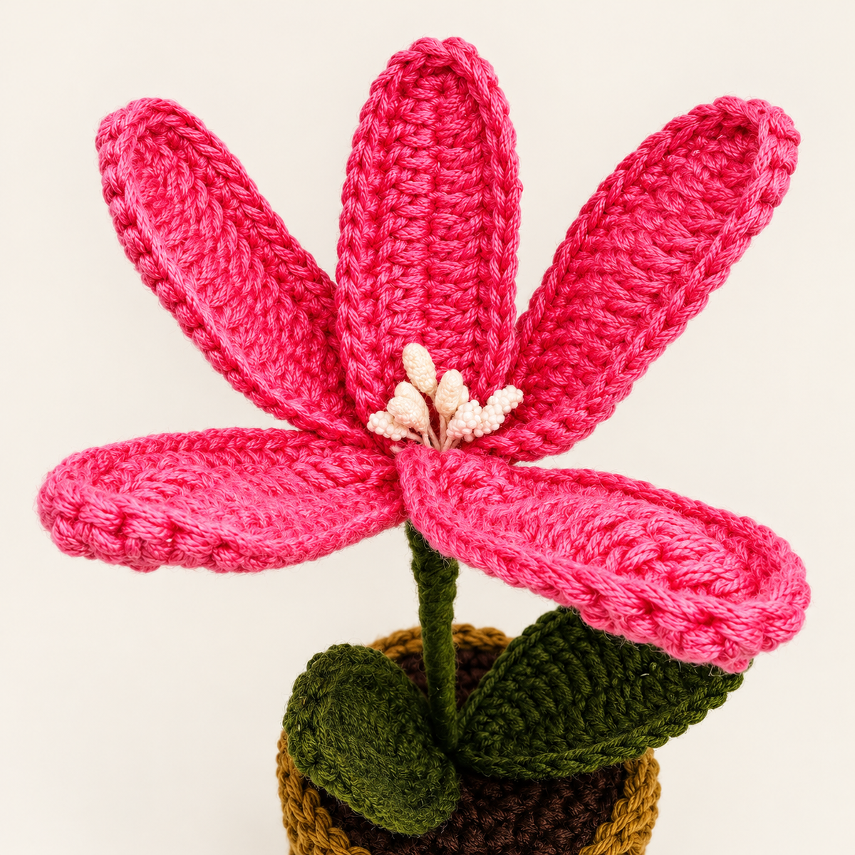 Pink Lily Pot