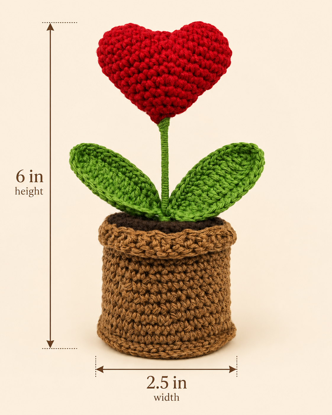 Crimson Heart Bloom Pot size guide showing 6-inch height and 2.5-inch width.