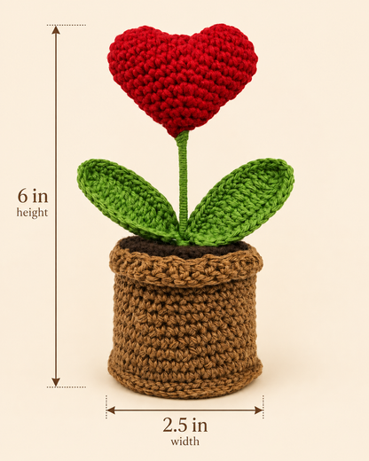 Crimson Heart Bloom Pot size guide showing 6-inch height and 2.5-inch width.