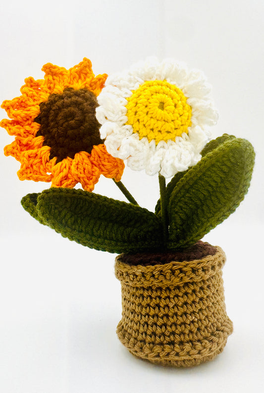 Sunshine & Daisy Duo Pot
