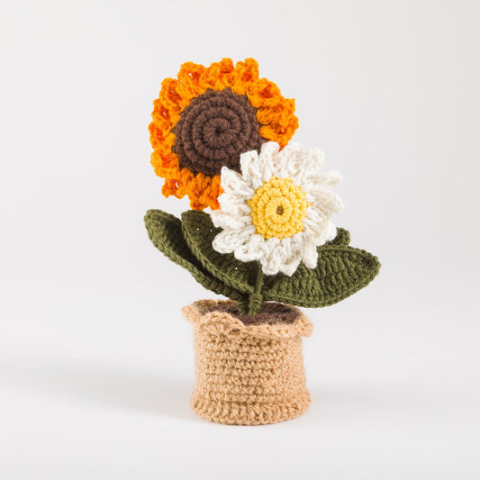 Sunshine & Daisy Duo Pot