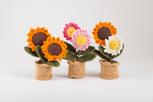 Duo Bloom Trio – Luxe Collection