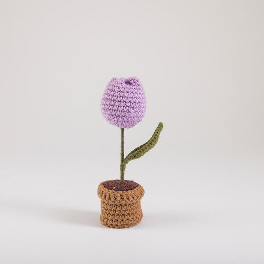 Lavender Tulip Bloom Pot