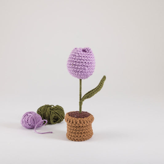 Lavender Tulip Bloom Pot