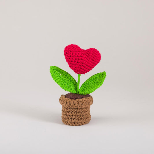 Crimson Heart Bloom Pot