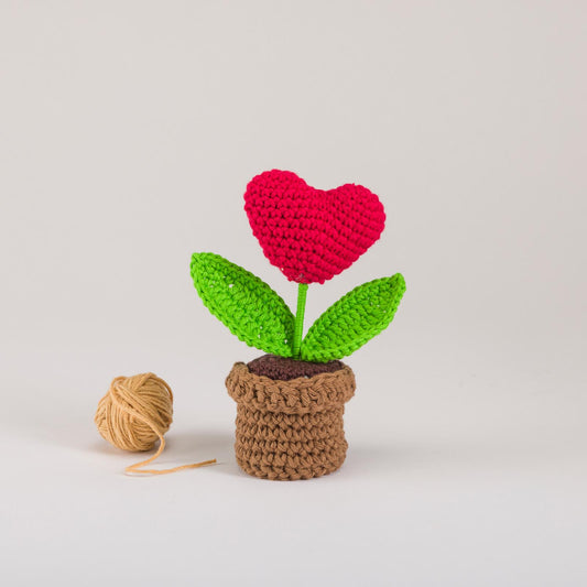 Crimson Heart Bloom Pot