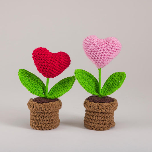 Heart Bloom Duo – Love Collection