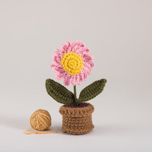 Blush Daisy Bloom Pot