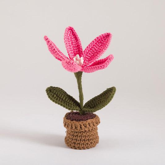Pink Lily Bloom Pot