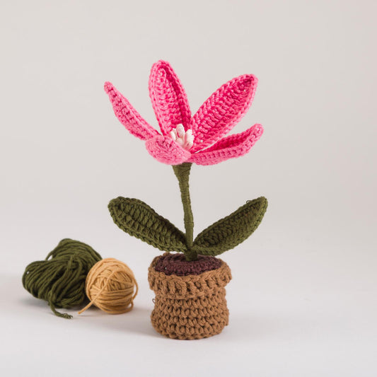Pink Lily Bloom Pot