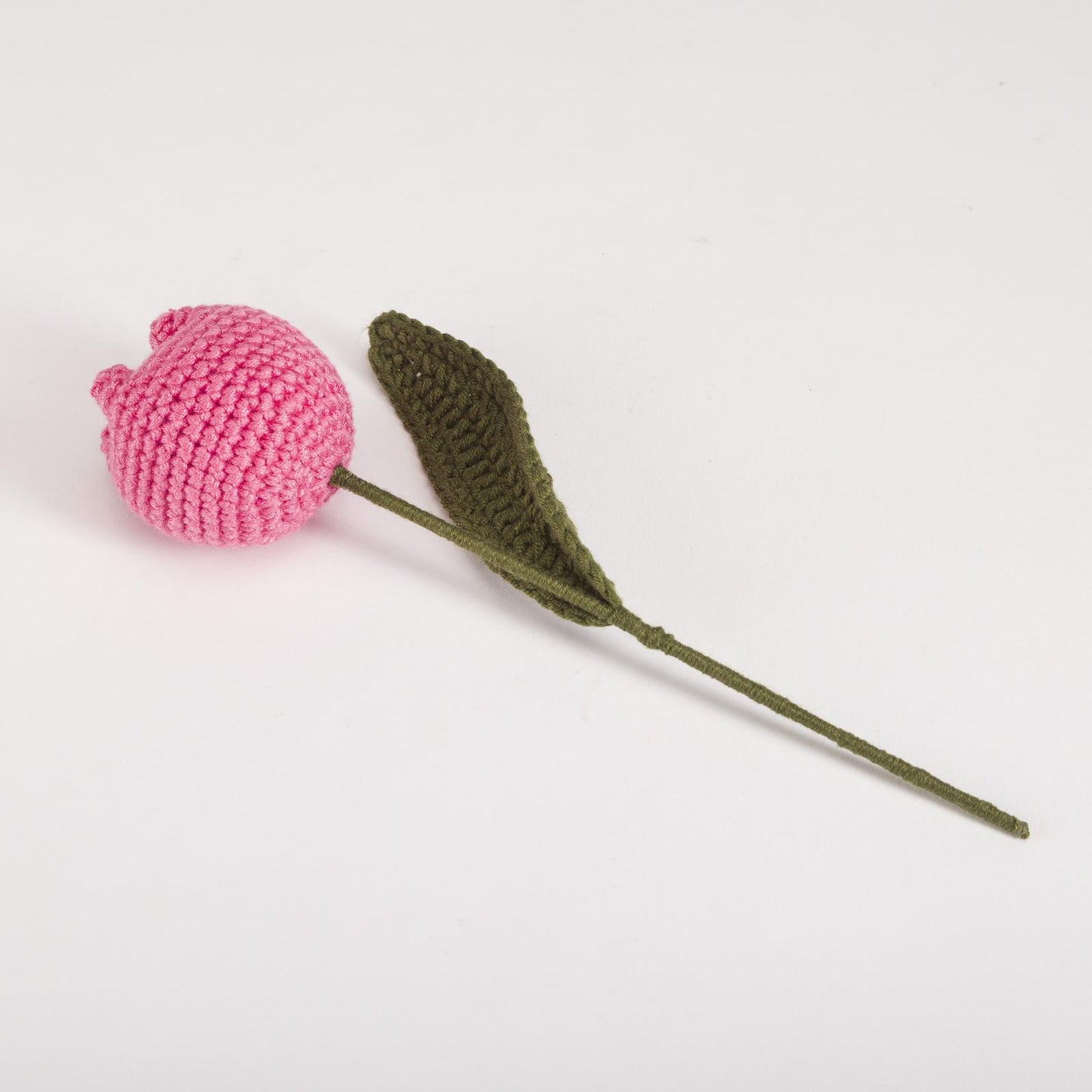 Pink Tulip Stem