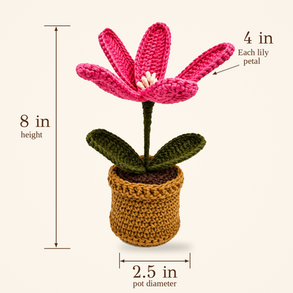 Pink Lily Pot