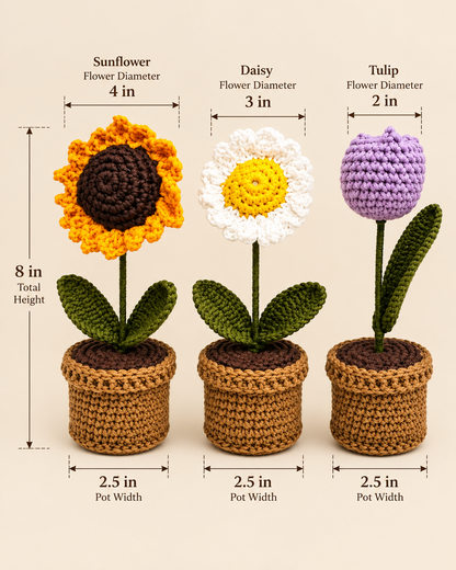 Bloom Trio size guide: each pot 8 inches tall and 2.5 inches wide, with flower diameters labelled.