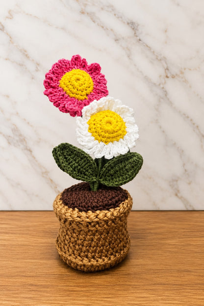 Blush Daisy Duo Pot on a wooden tabletop against a marble-patterned background