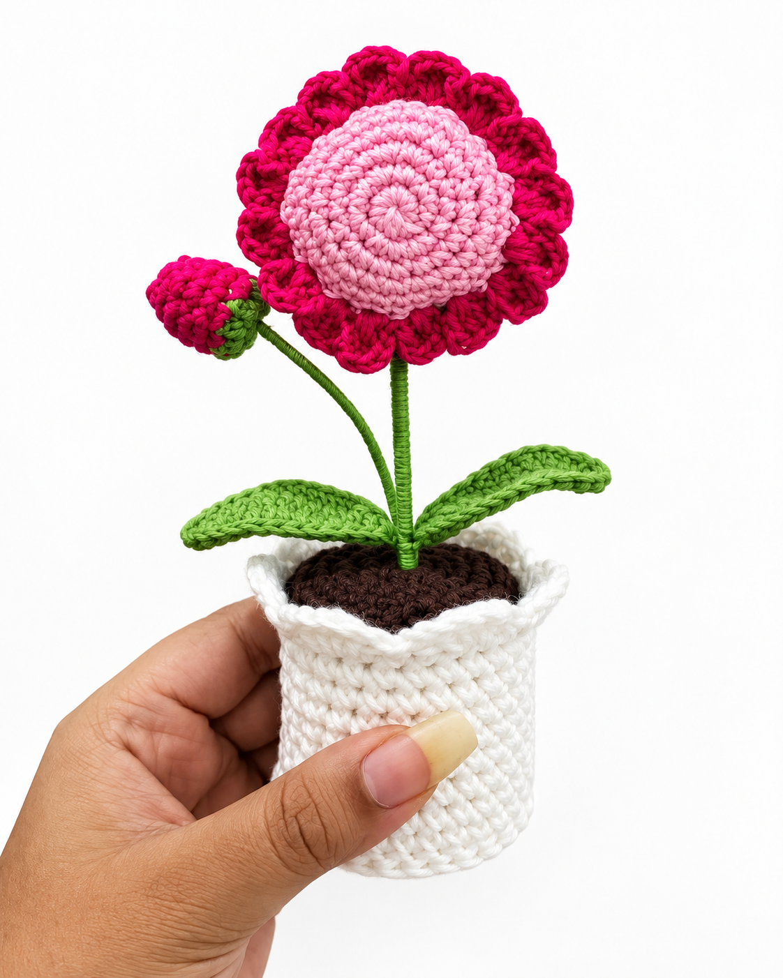 Crimson Blush Sunflower Bloom Pot shown in hand for scale