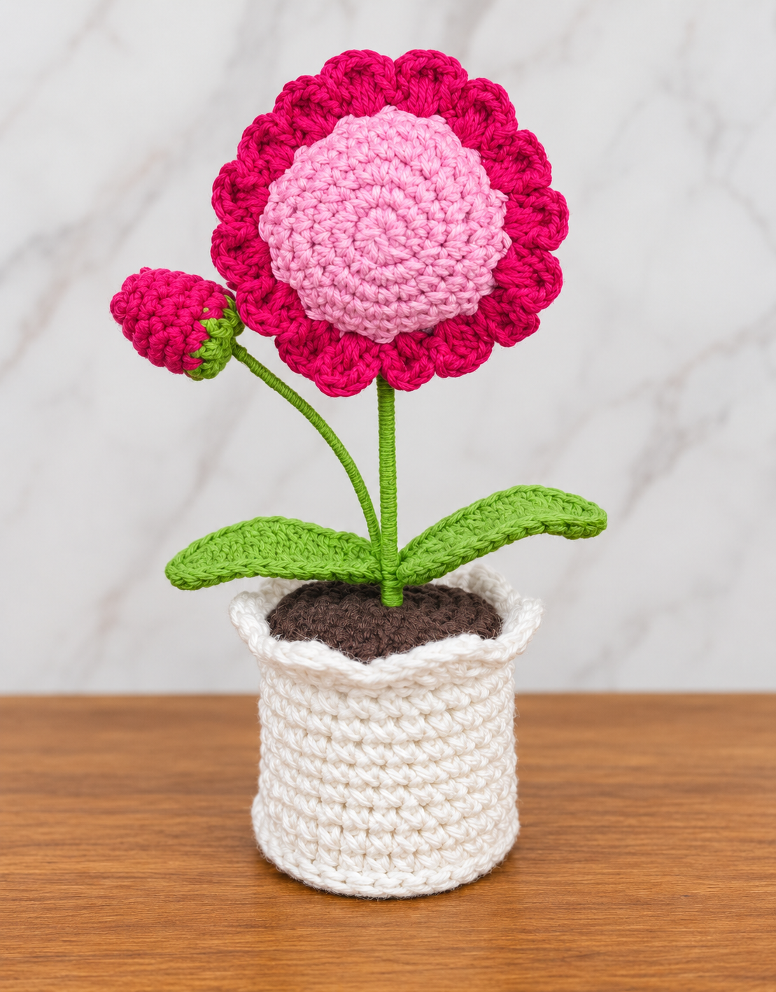 Crimson Blush Sunflower Bloom Pot styled on a wooden surface