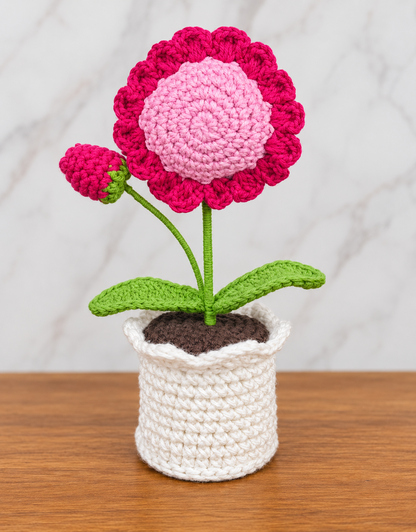 Crimson Blush Sunflower Bloom Pot styled on a wooden surface
