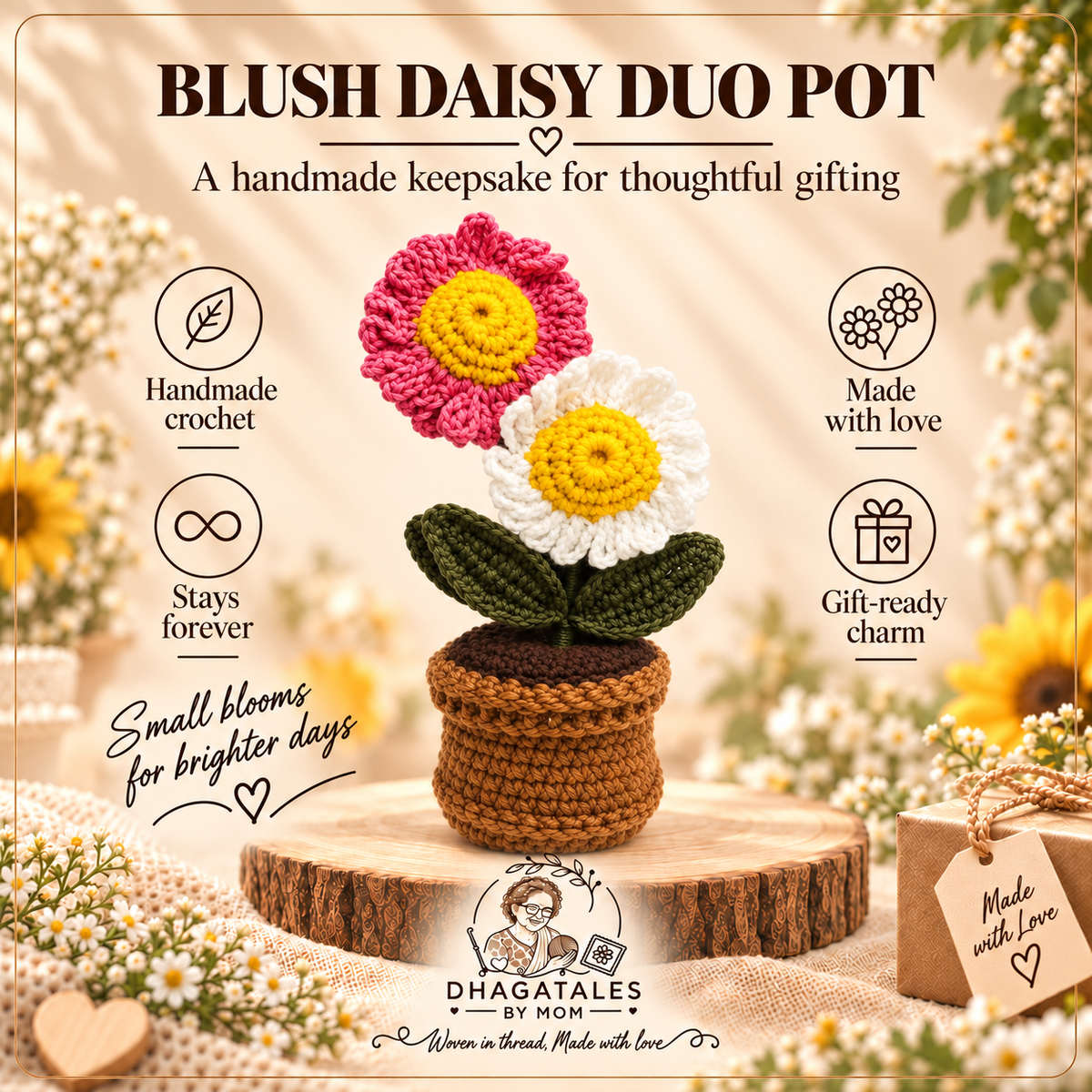 Blush Daisy Duo Pot