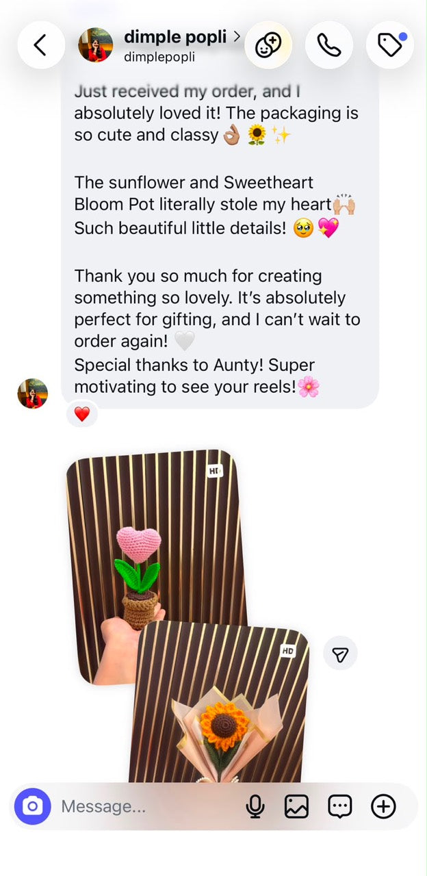 Instagram message from Dimple Popli praising the packaging, sunflower and Sweetheart Bloom Pot