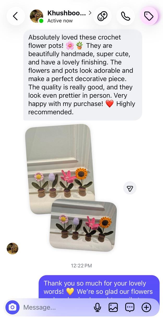 Instagram message from Khushboo praising the handmade crochet flower pots, their finishing and quality, with photos of four flower pots